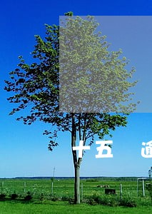 十五 逾期记录 贷款 十五 逾期记录 贷款